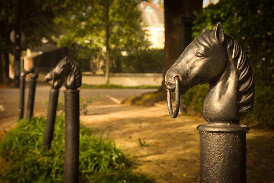 A row of horse head sculptures on a fence in a park.