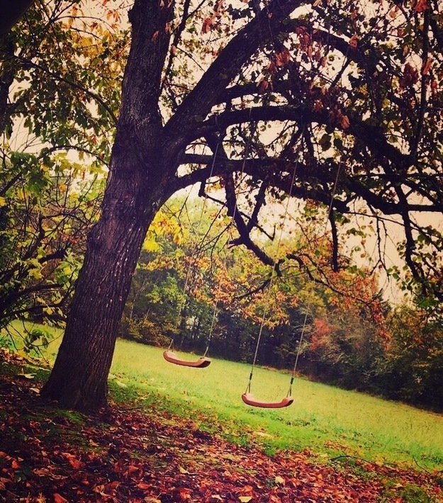 Un arbre,des balançoires,jeux d'enfants... nature et évasion...