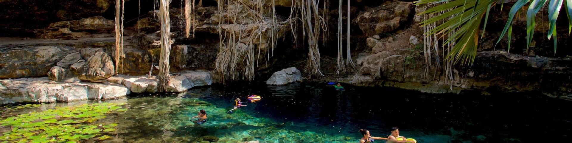 Cenote X\'batun featuring a lake or waterhole and swimming as well as a small group of people