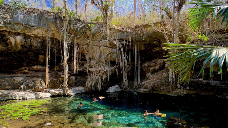 Cenote X\'batun which includes swimming and a lake or waterhole as well as a small group of people