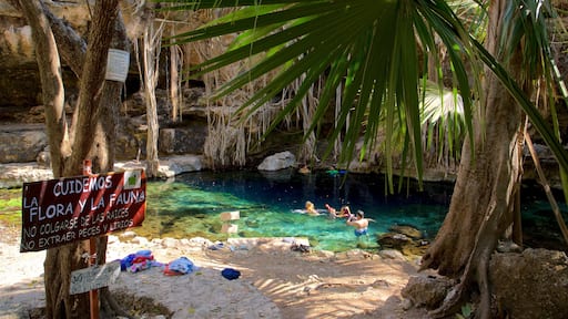 Cenote X\'batun caratteristiche di segnaletica, lago o sorgente d\'acqua e nuoto