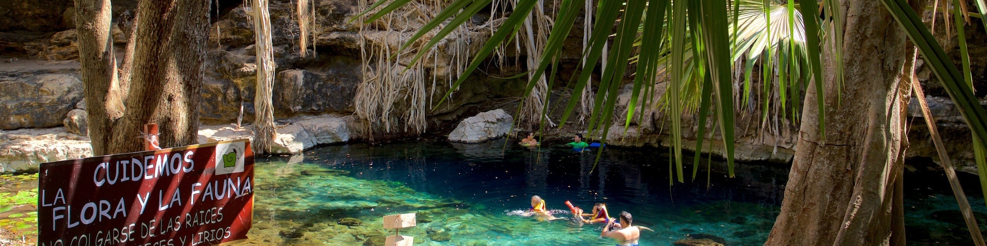 Cenote X\'batun which includes signage, swimming and a lake or waterhole