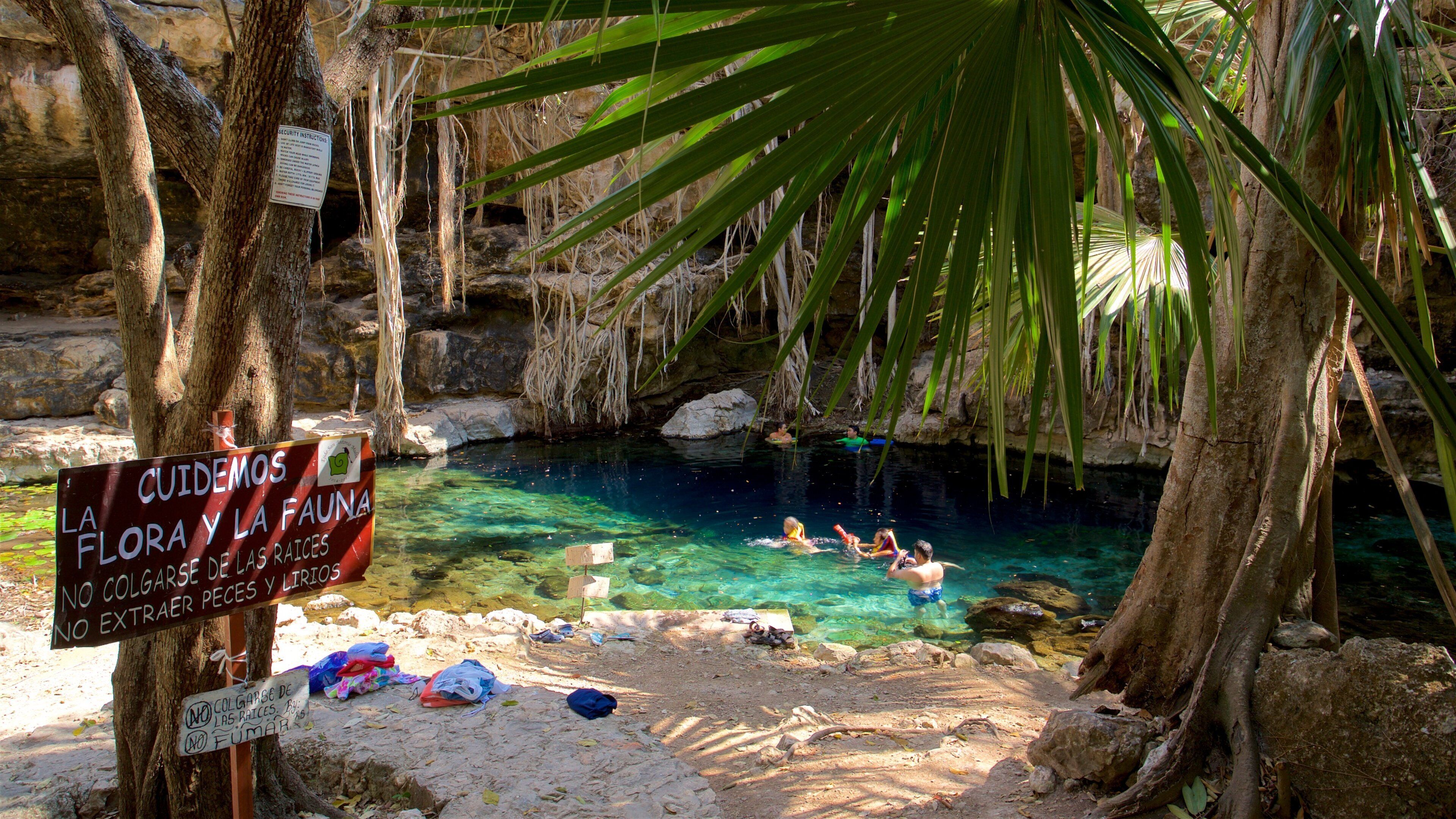 A clear pool surrounded by trees and rocks with people swimming.