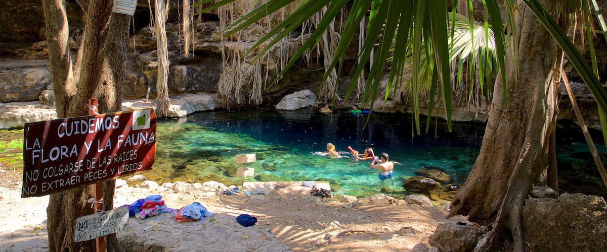 A clear pool surrounded by trees and rocks with people swimming.