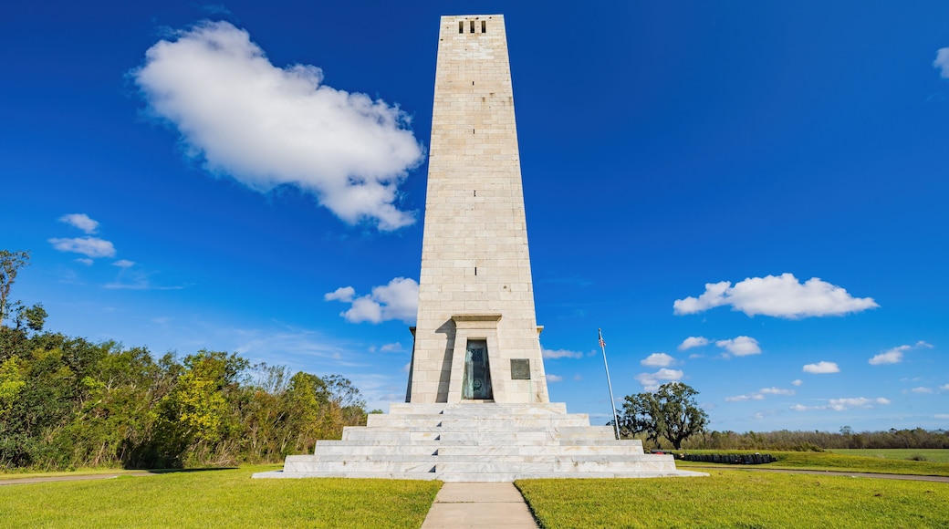 Champ de bataille de Chalmette
