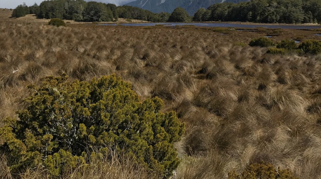 Solid day of hiking.