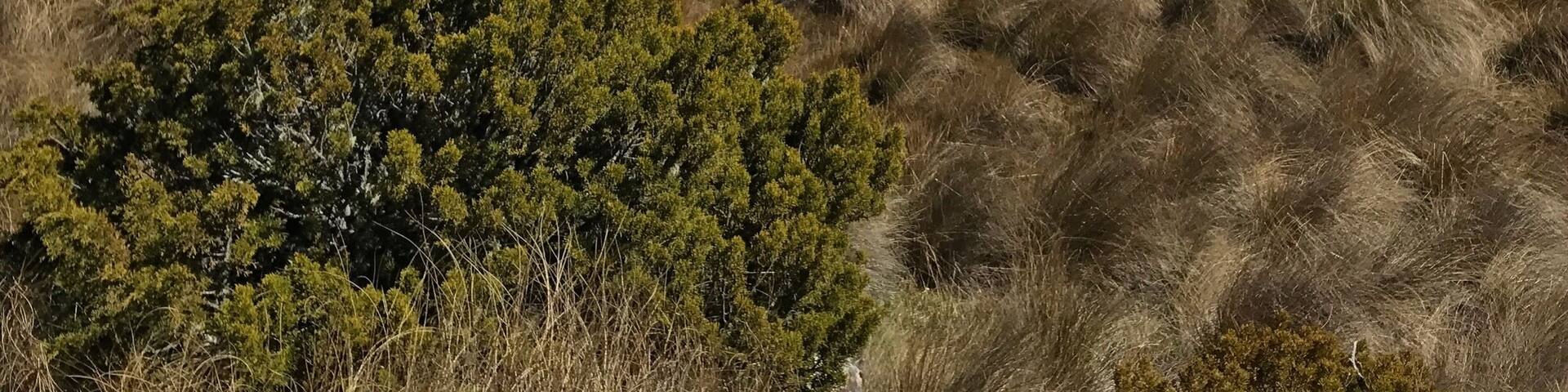 Solid day of hiking.