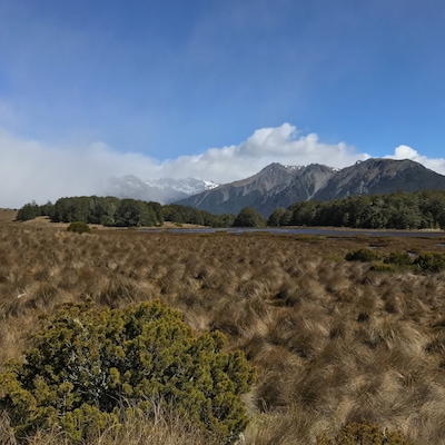 Solid day of hiking.