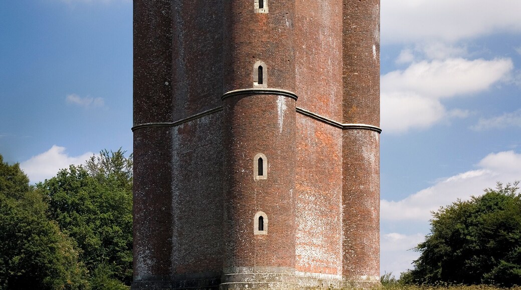 View of King Alfred's Tower from the west on a sunny summer day.