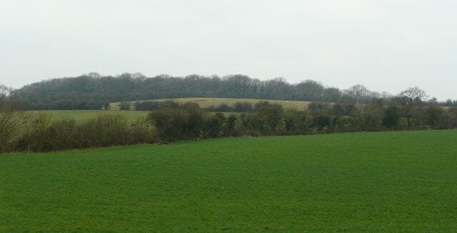 Upton Wood viewed from the east Across fields north of Grazemoor Farm