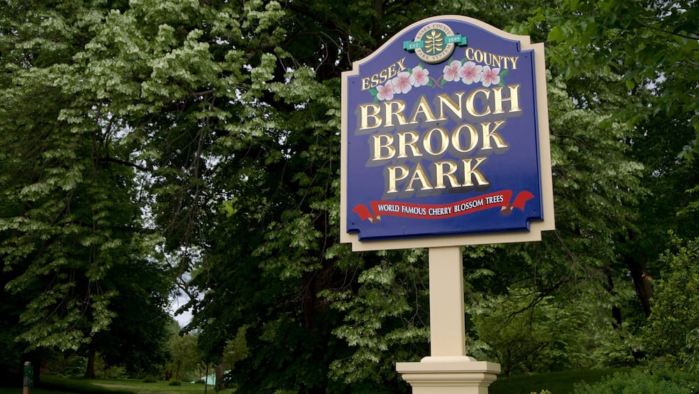 A sign for Essex County Branch Brook Park, highlighting its status as a world-famous cherry blossom tree location.