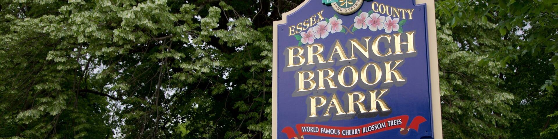 Branch Brook Park showing a garden and signage