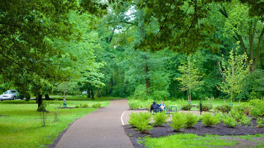 Branch Brook Park showing a park