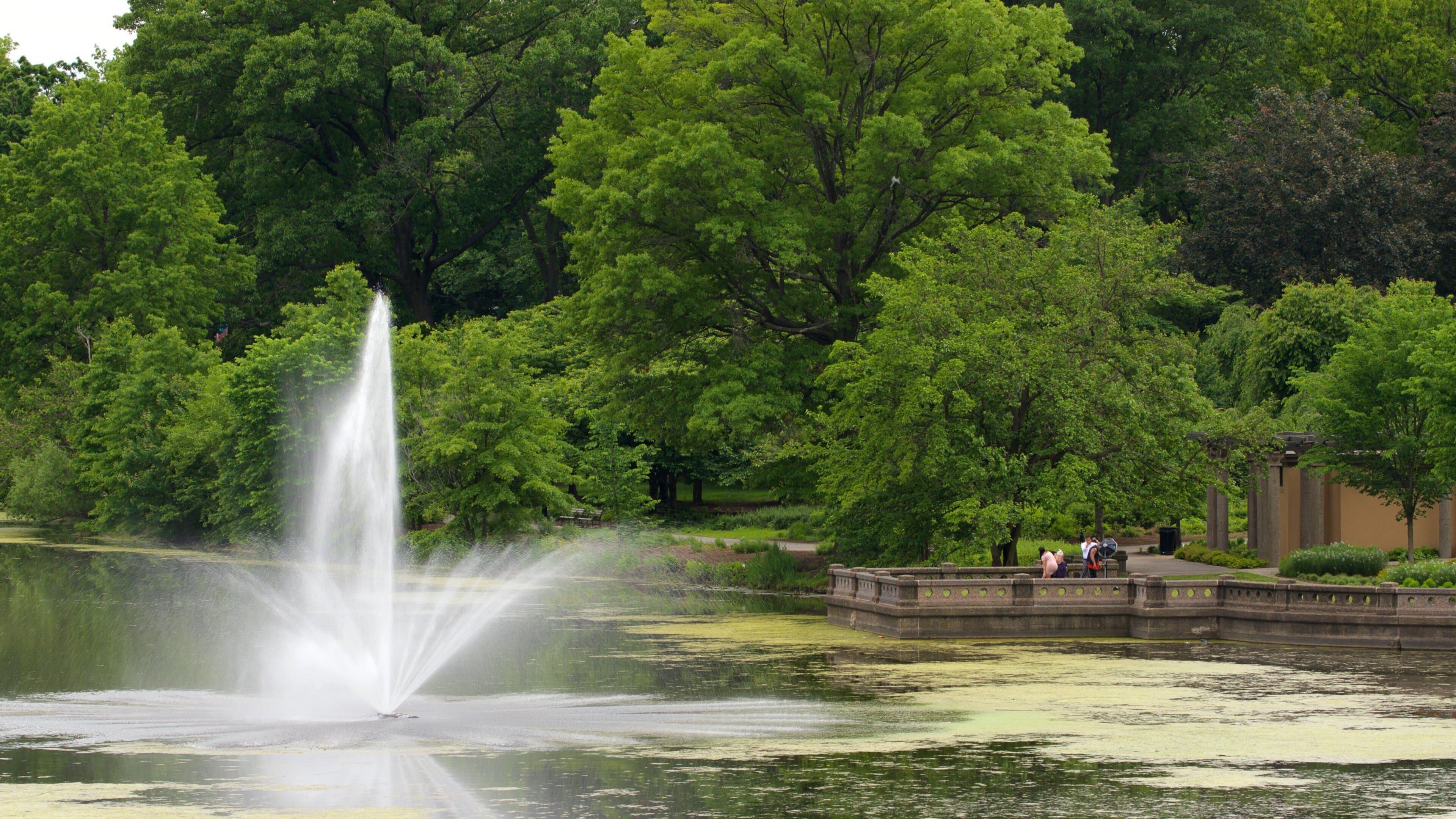 A fountain in a park with lush green trees and a stone bridge.