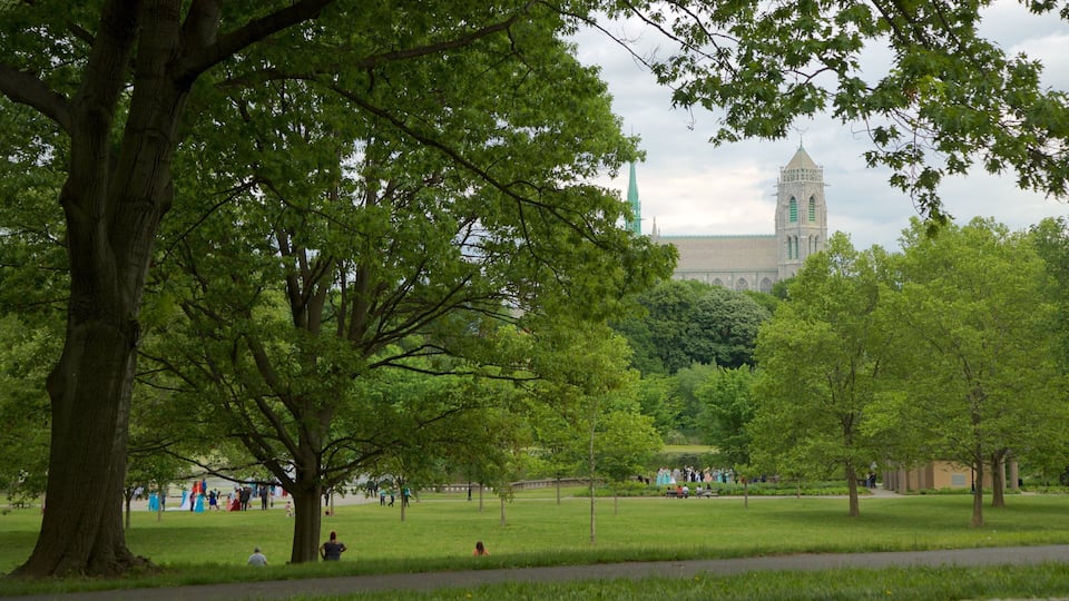 Branch Brook Park featuring a garden