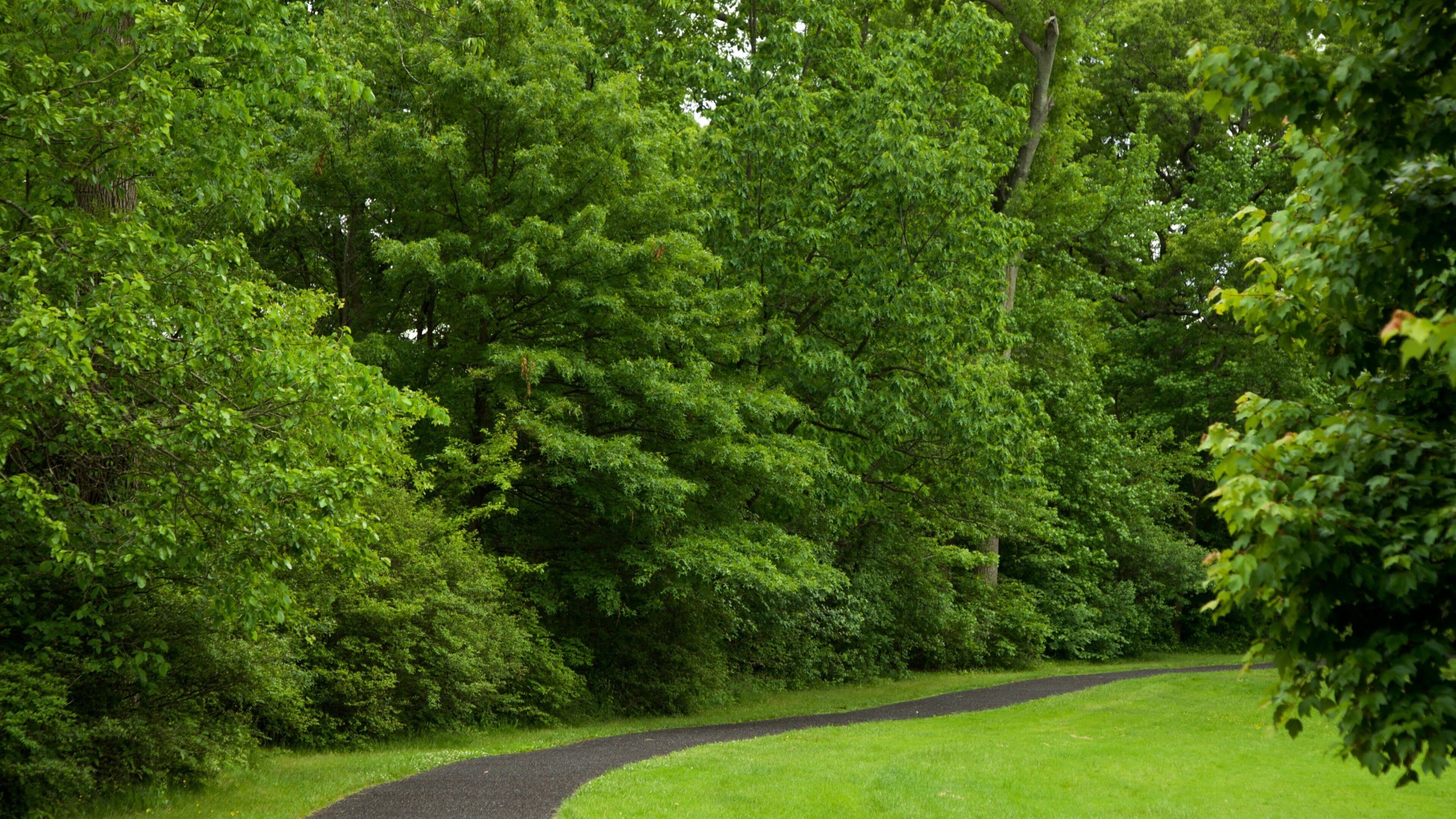 Branch Brook Park featuring a park