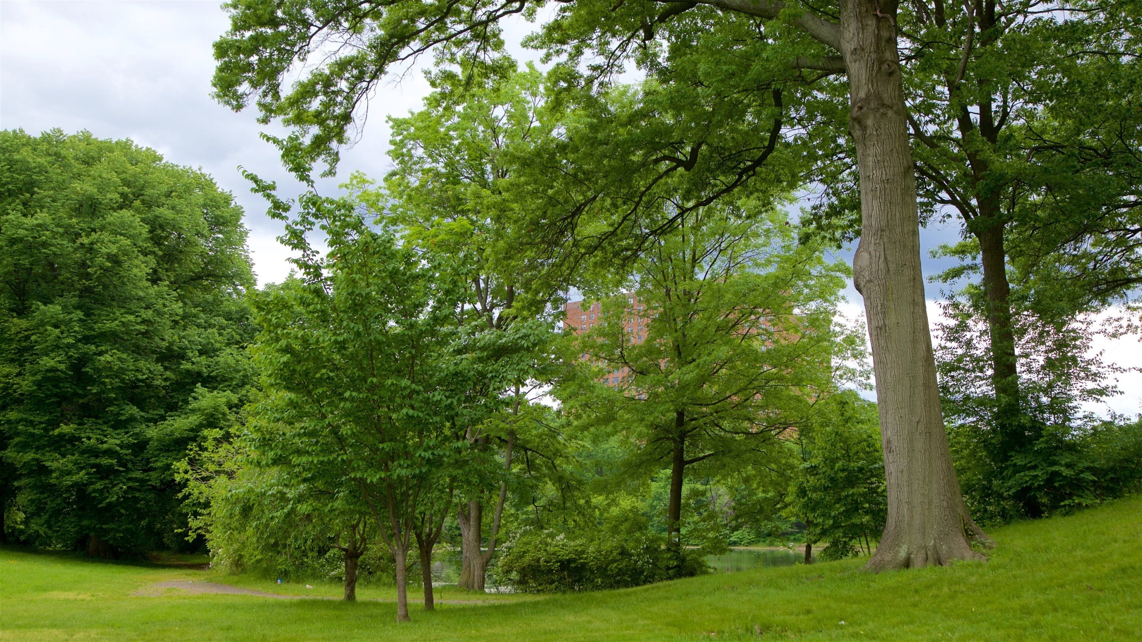 Branch Brook Park fasiliteter samt hage