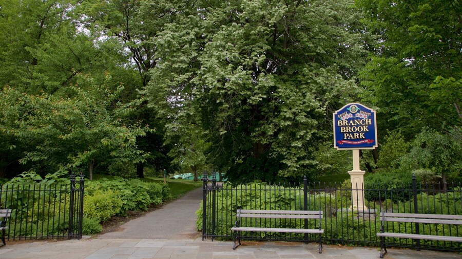 Branch Brook Park