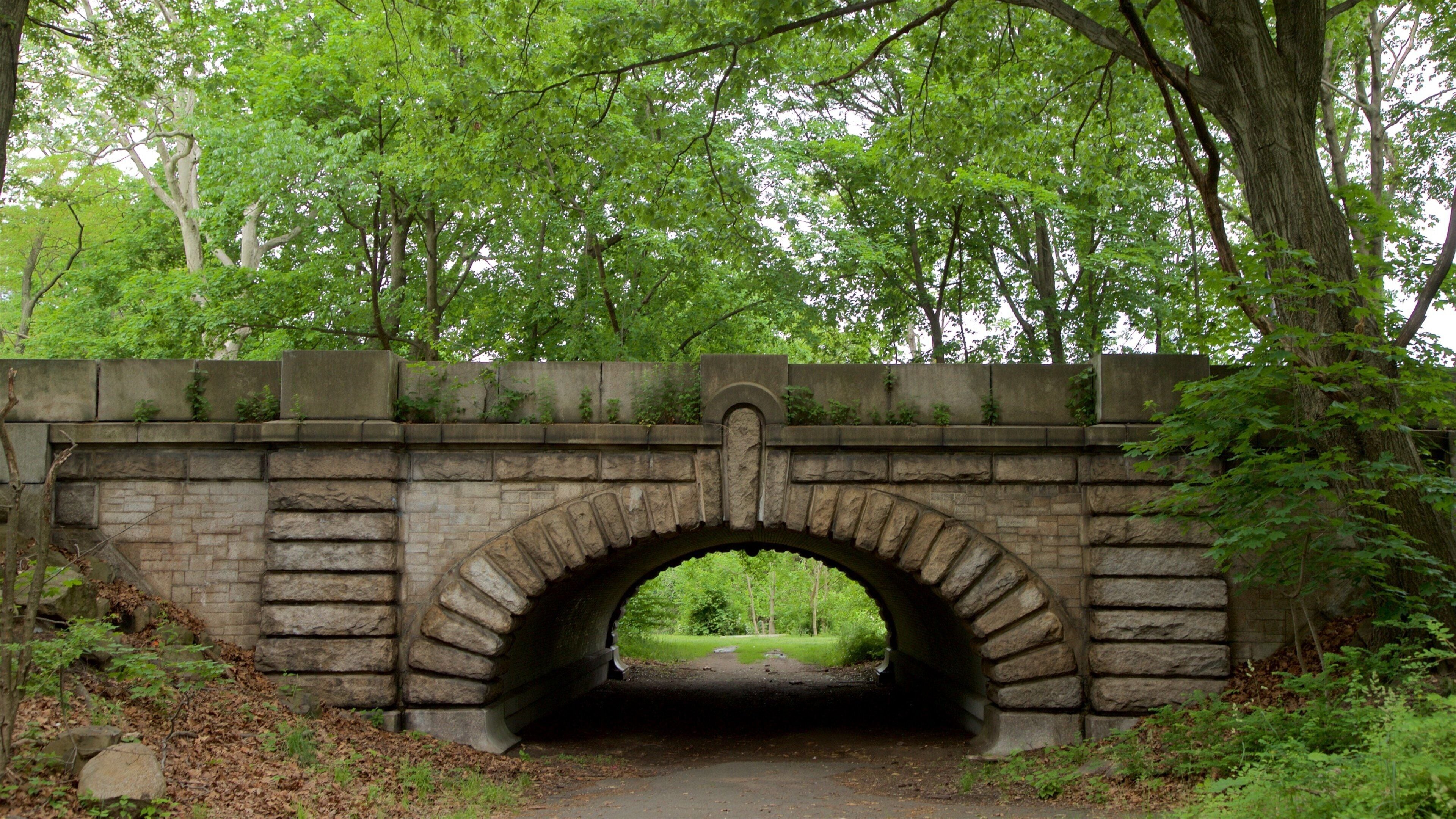 Parc de Branch Brook