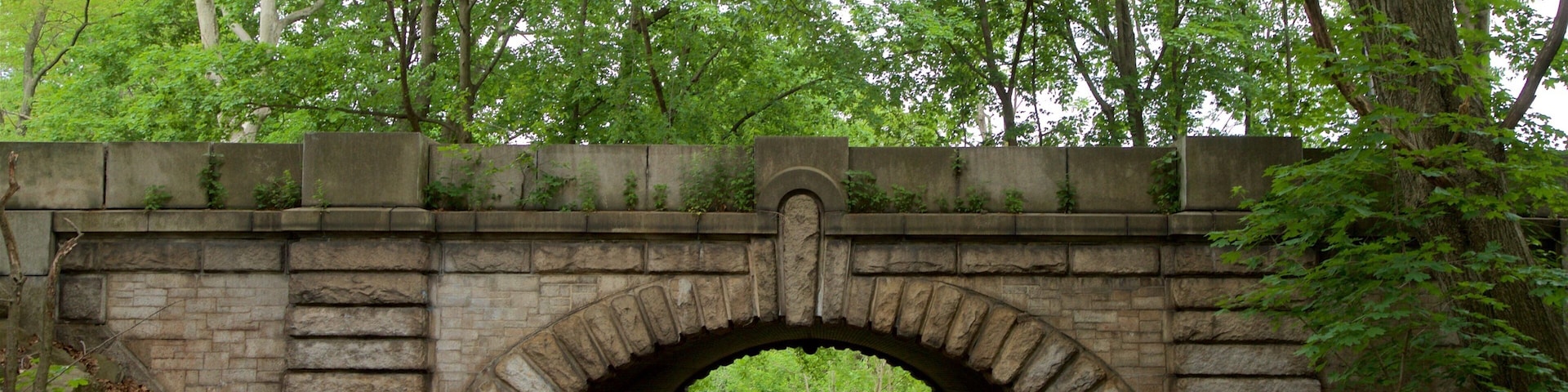 Branch Brook Park mostrando uma ponte e um parque