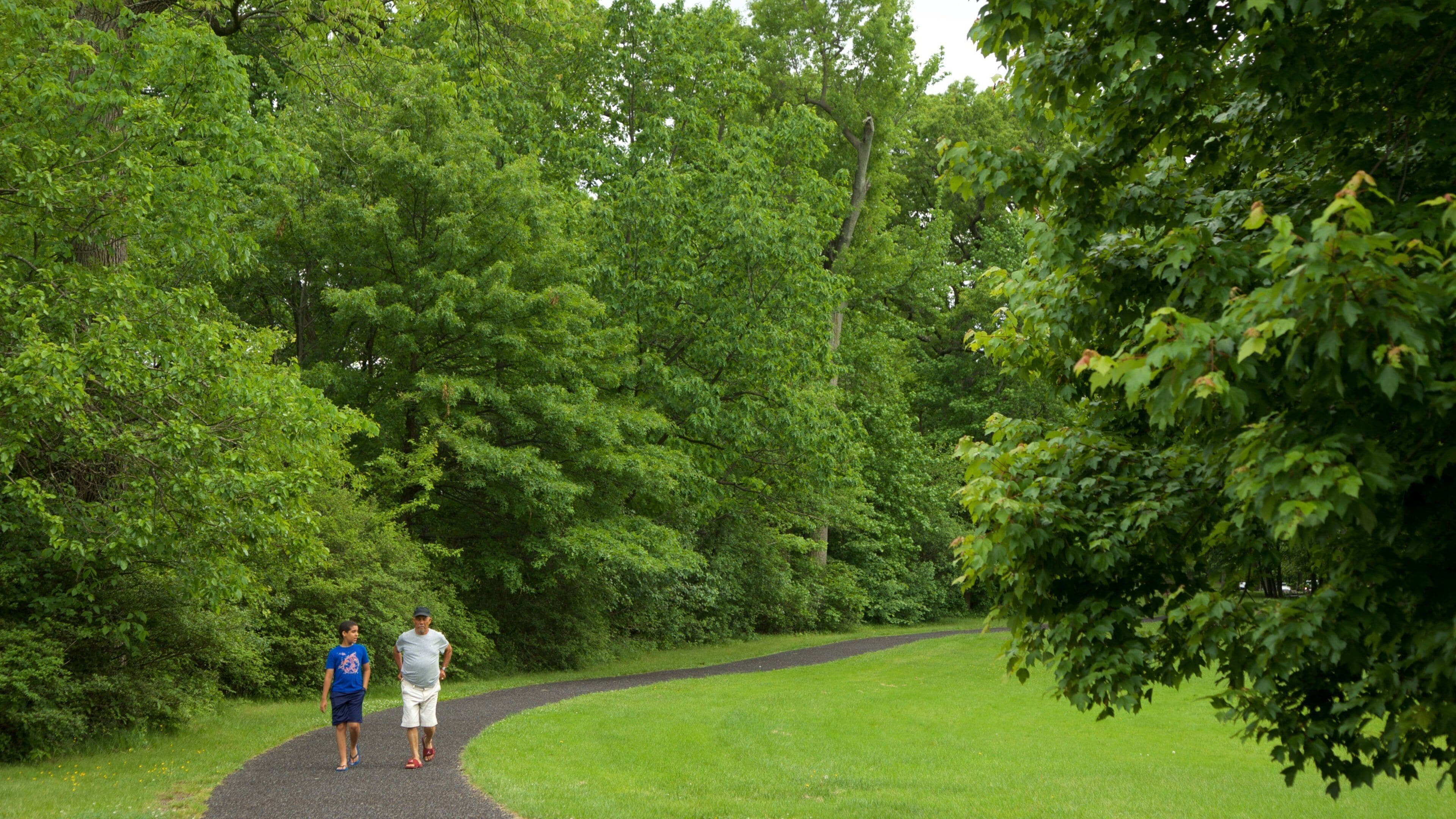 Branch Brook Park featuring a park as well as a couple