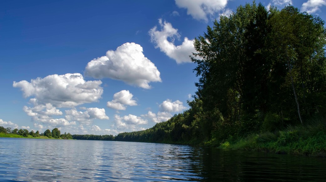Wide river in summer