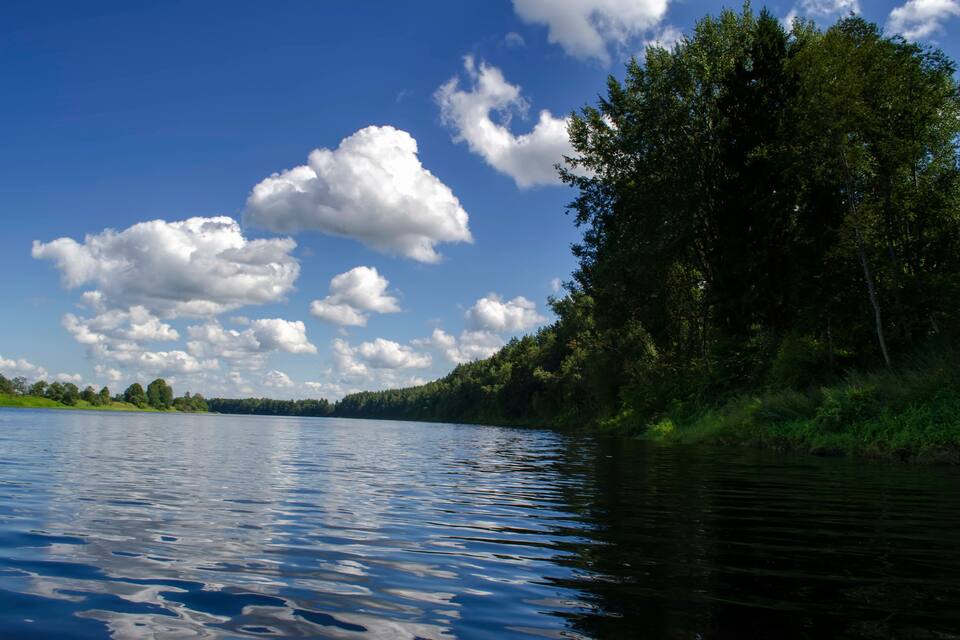 En stilla sjö med en skogbeklädd strand och en klarblå himmel med moln.