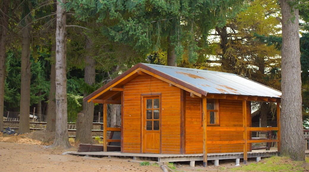 Piedras Blancas showing a house and forest scenes