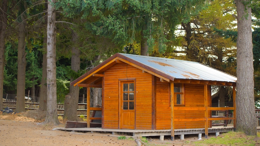Piedras Blancas featuring a house and forests