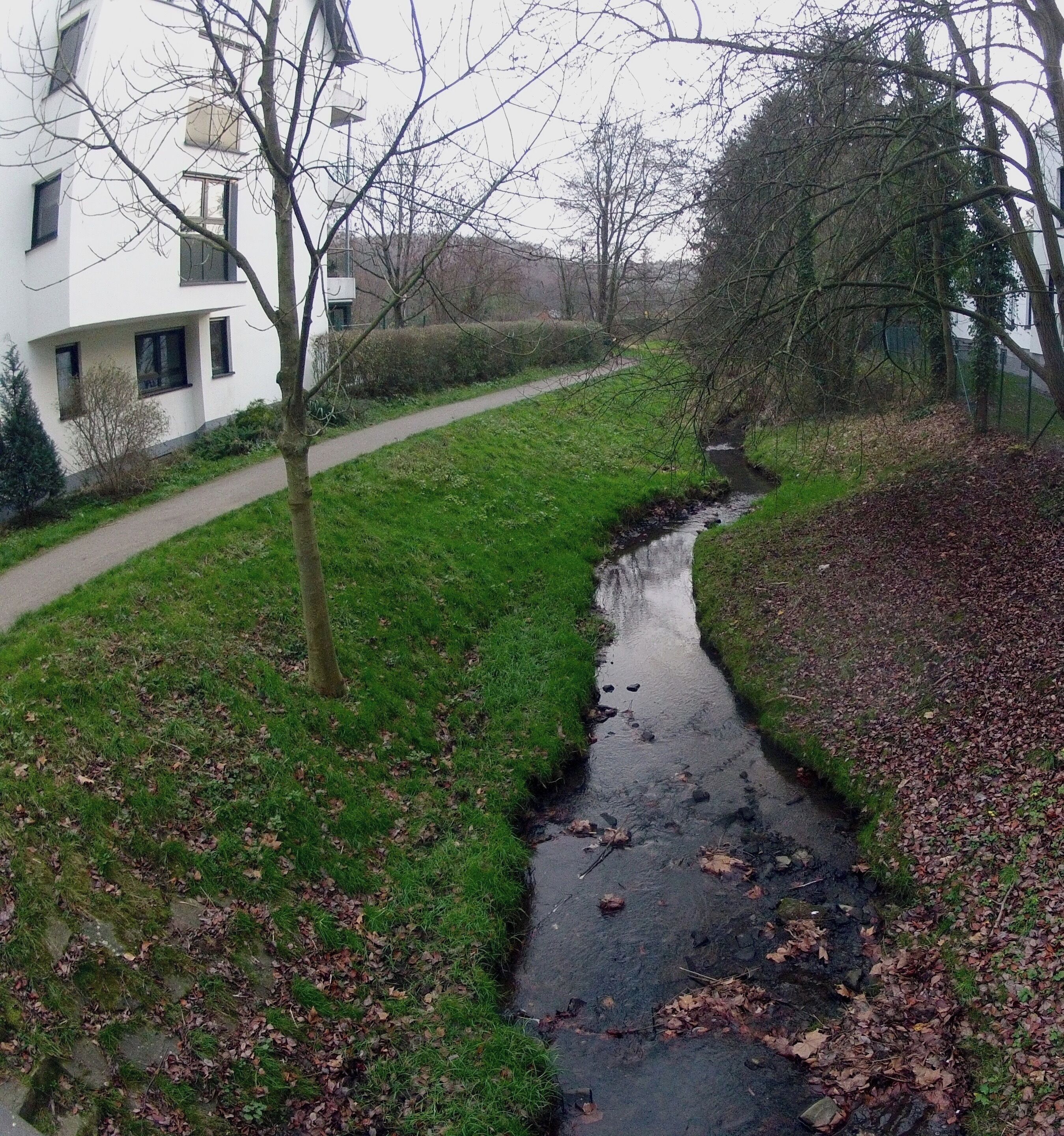 Der Pillebach in Gerresheim