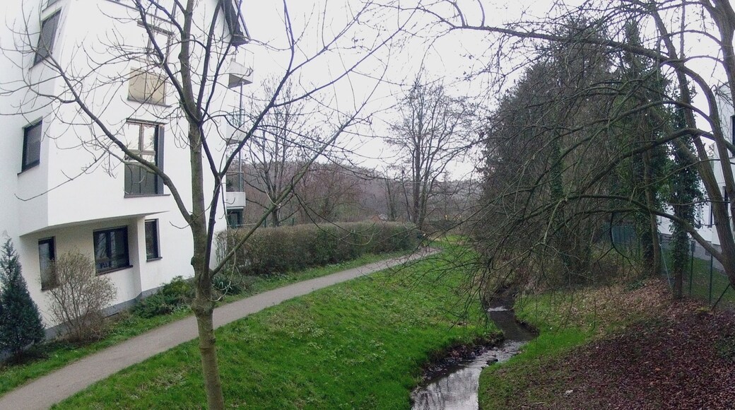 Der Pillebach in Gerresheim
