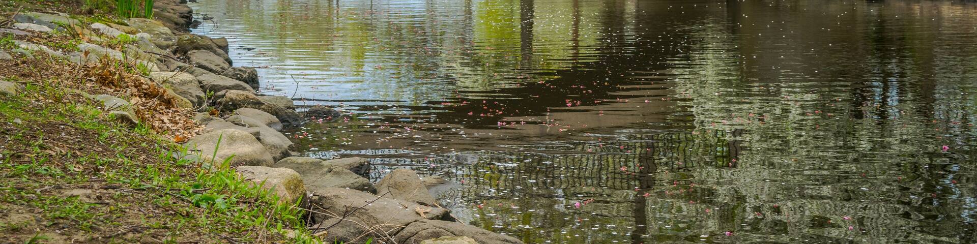 A stone bridge over a calm river, surrounded by blooming trees and a rocky riverbank.
