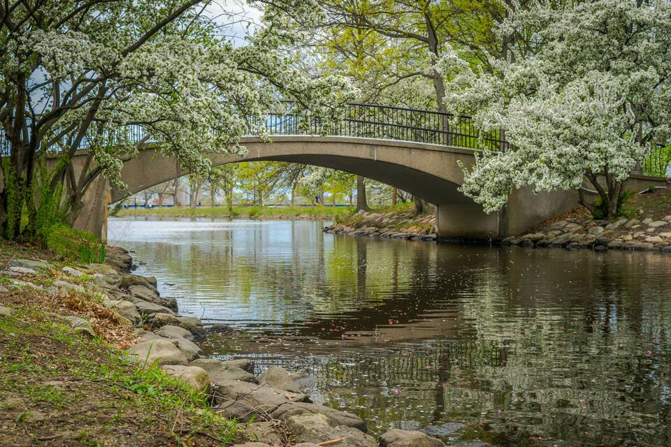 Un puente de piedra sobre un río tranquilo, rodeado de árboles en flor y una orilla rocosa.