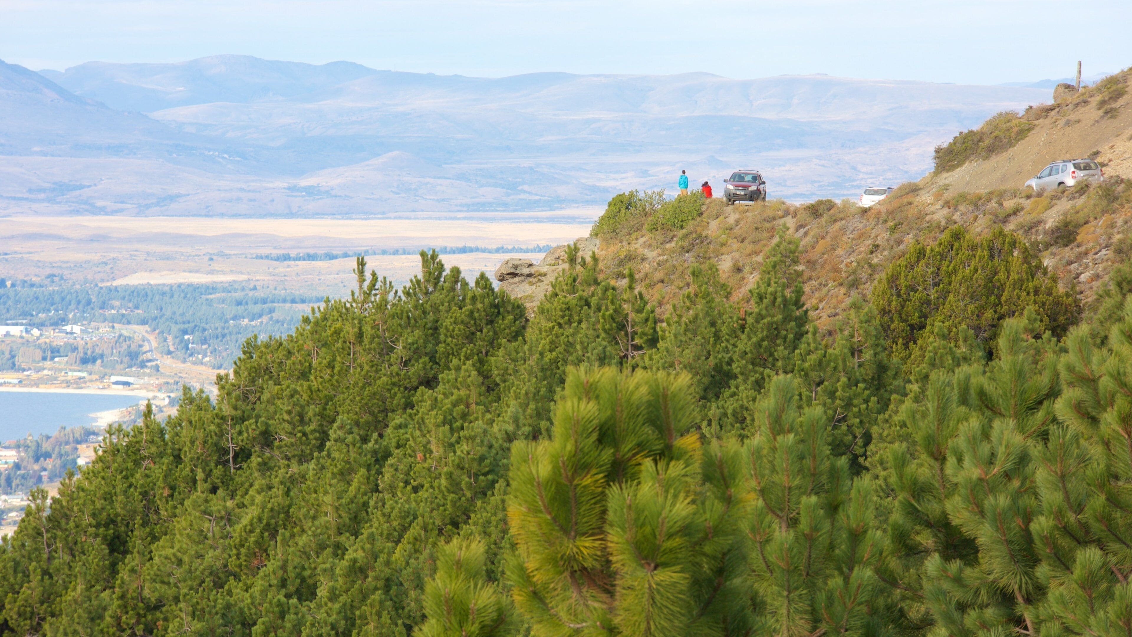 Cerro Otto showing forest scenes and tranquil scenes