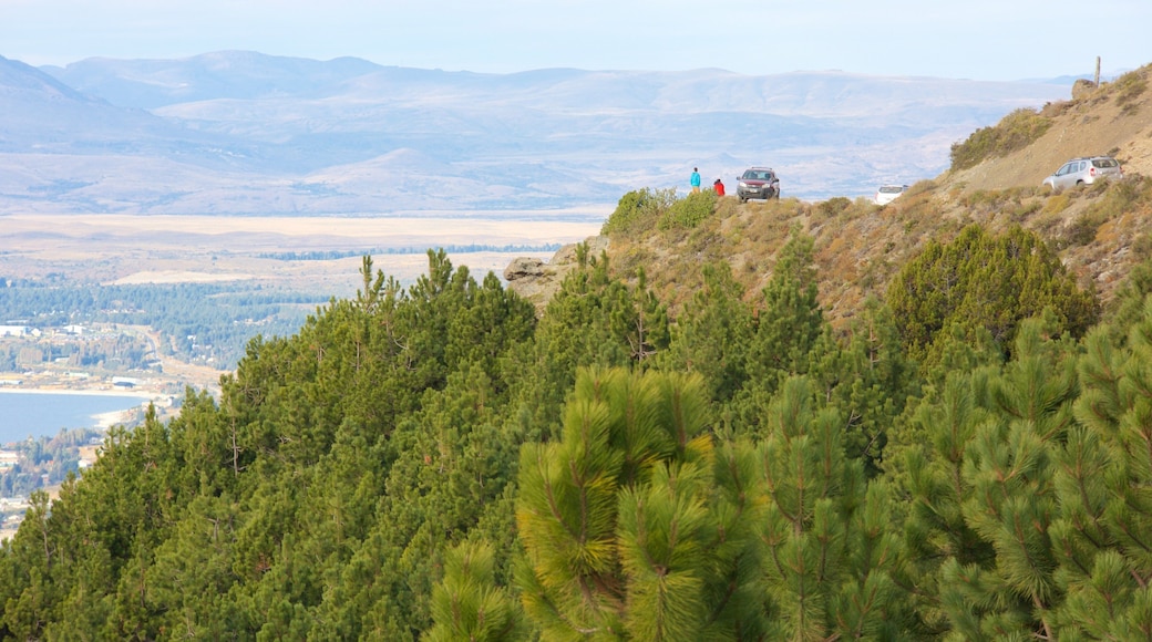 Cerro Otto showing forest scenes and tranquil scenes