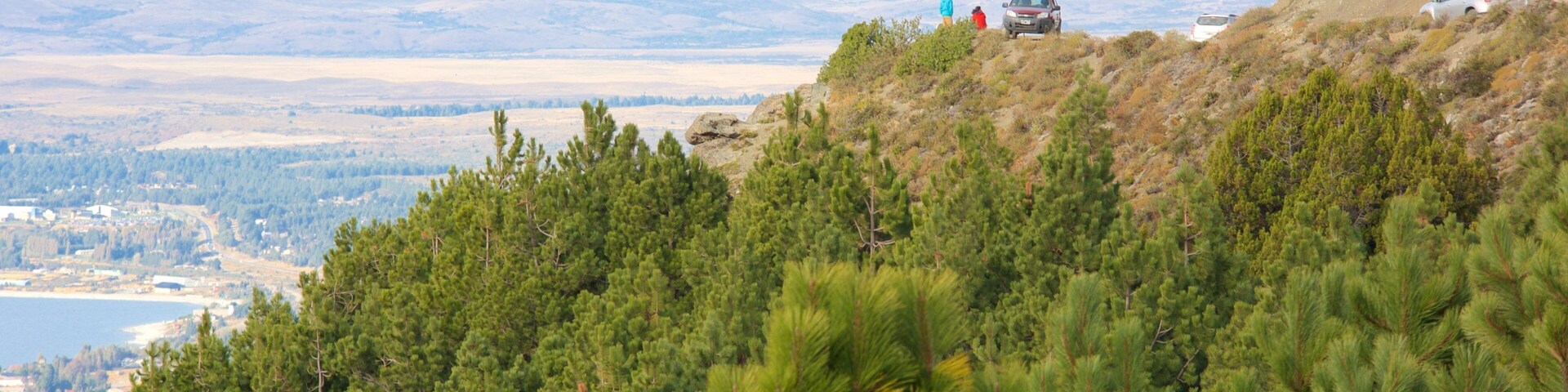 Cerro Otto showing forest scenes and tranquil scenes