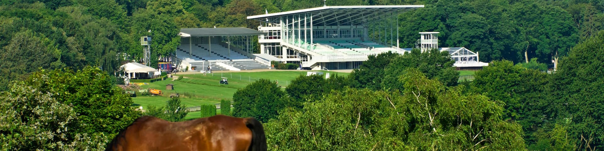 H6T74N overlooking the racecourse grafenberg dusseldorf