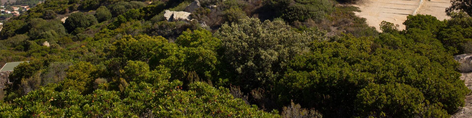 A historic church on a hill with a mountainous backdrop.