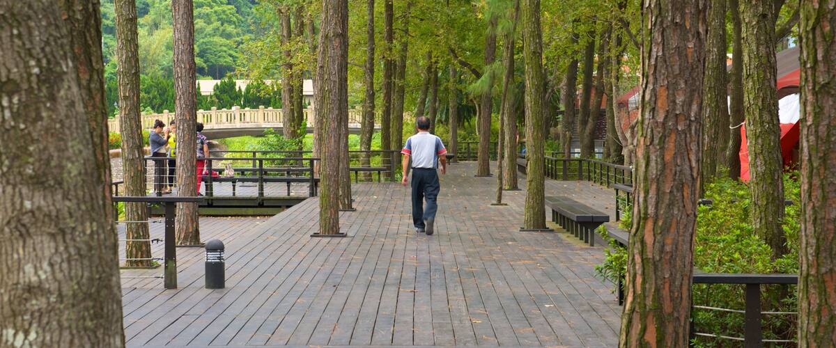 A wooden boardwalk surrounded by tall trees, benches, and a river in the background.