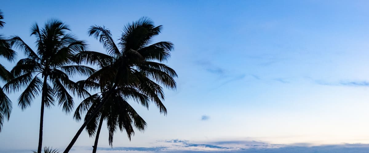 A beach with palm trees and a rocky outcrop.
