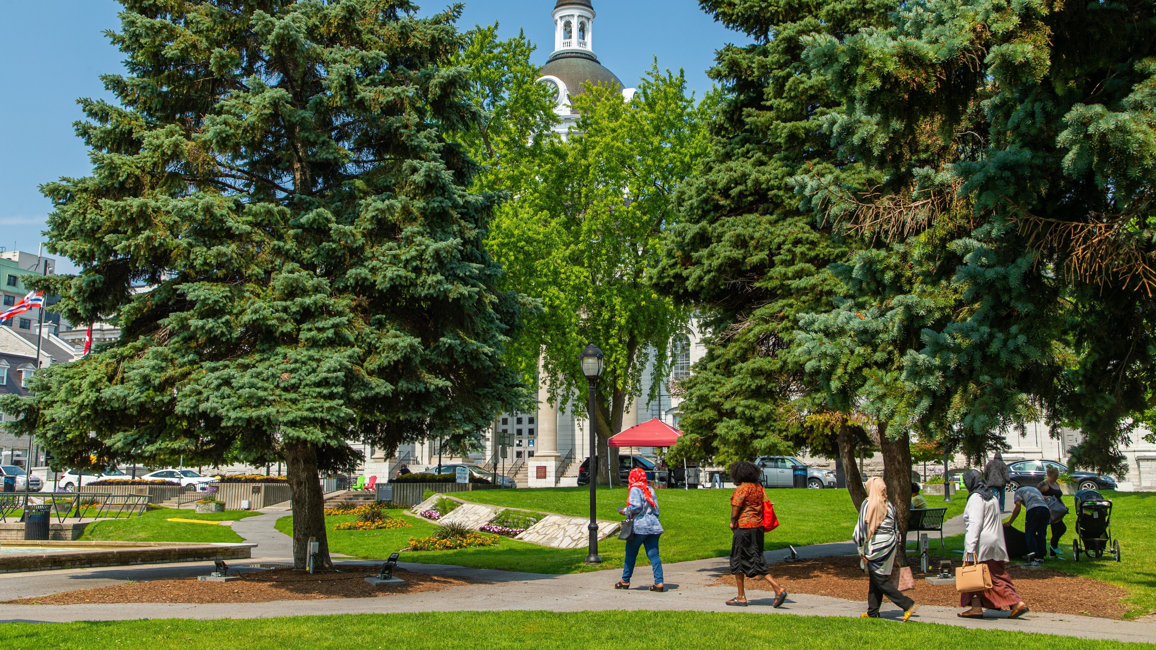 Kingston Waterfront showing a park as well as a small group of people