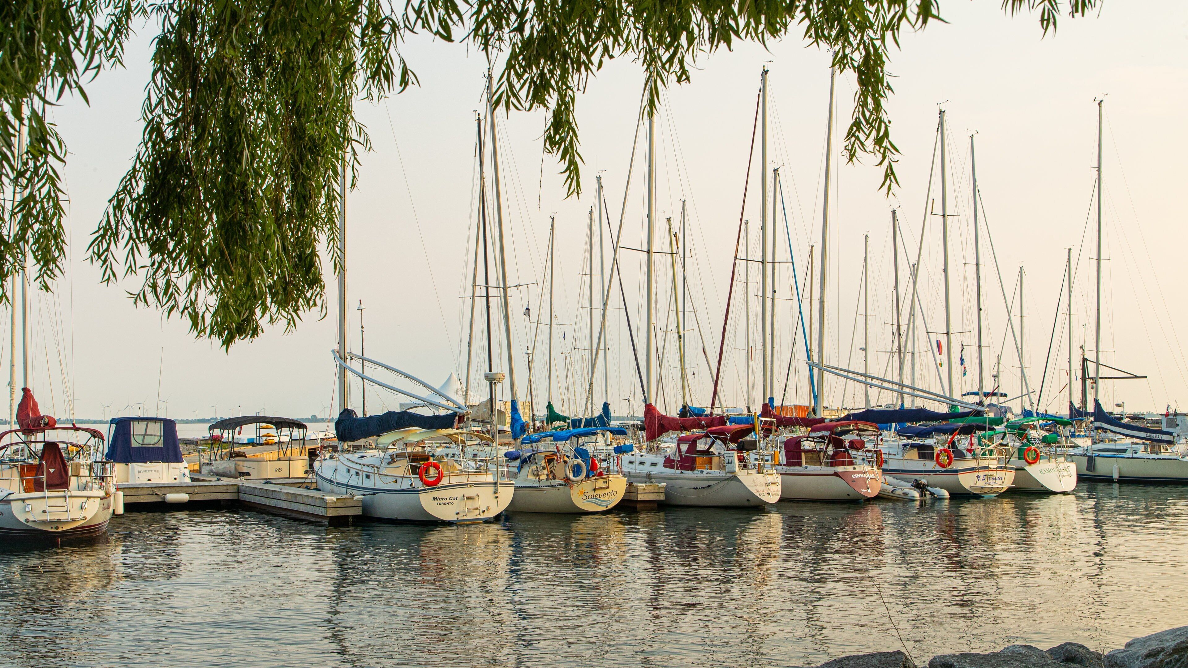 Kingston Waterfront showing a sunset and a bay or harbor