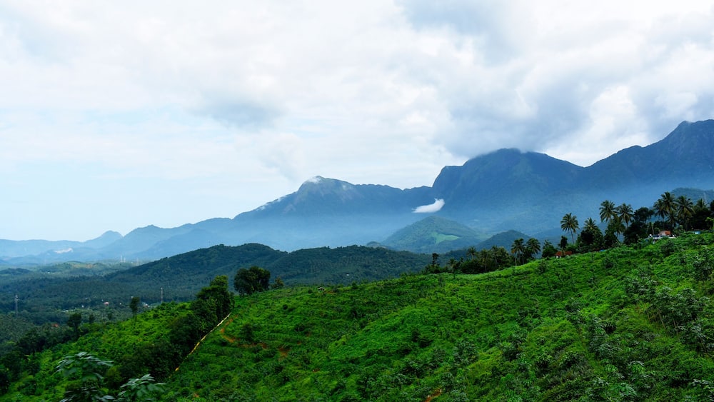 Wayanad Hillstation; Kerala Tourism Wayanad forest Hill view