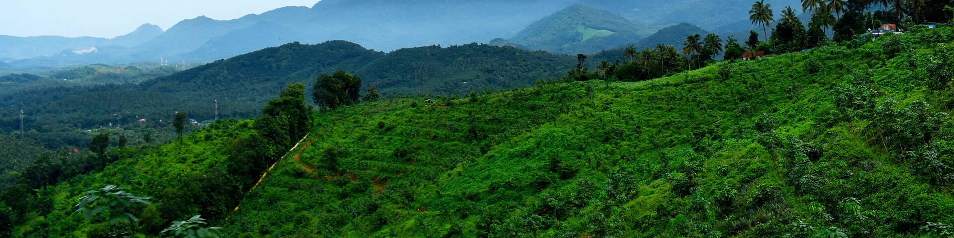 Wayanad Hillstation; Kerala Tourism Wayanad forest Hill view