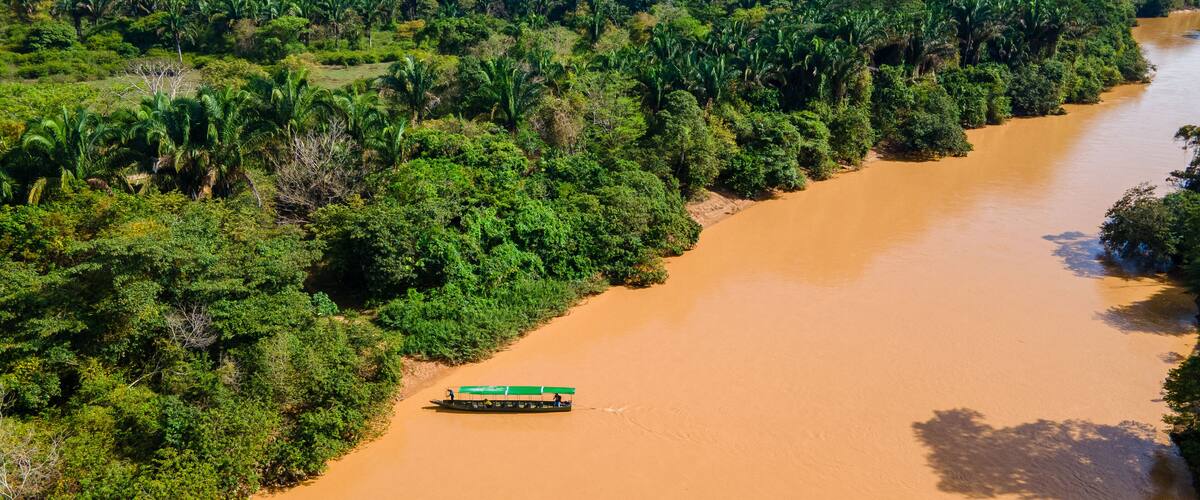 A river winding through a dense, green forest.