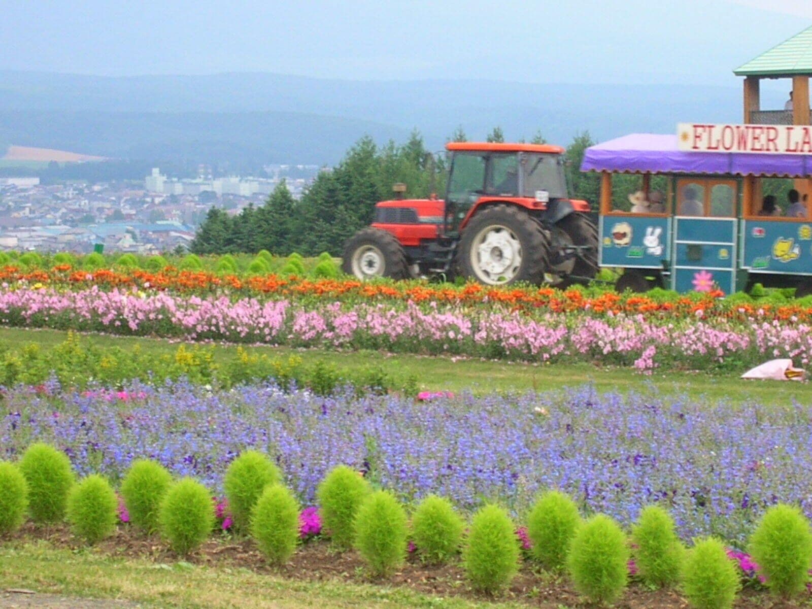 Um trator em um campo florido com um carrinho de flores identificado como 'Flower Land'.