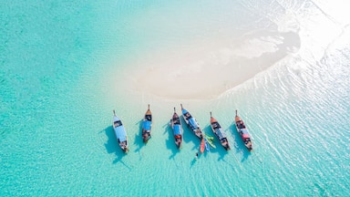 Top view or aerial view of Beautiful crystal clear water and white beach with long tail boats in summer of tropical island or Koh Lipe in Satun,Southern Thailand , Shutterstock ID 1256789458, Purchase