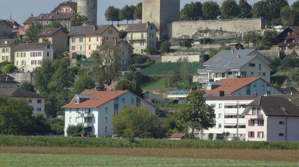 This is an image of a cultural property of national significance in Switzerland with KGS number