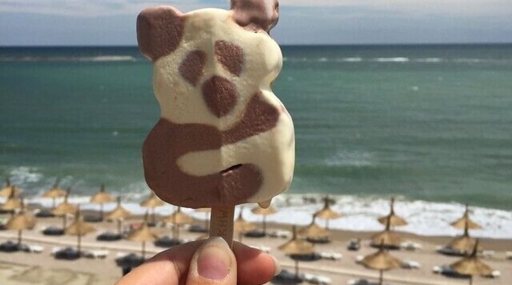 if you visit Romania during the summer then the Panda ice cream is a must. #waterlust