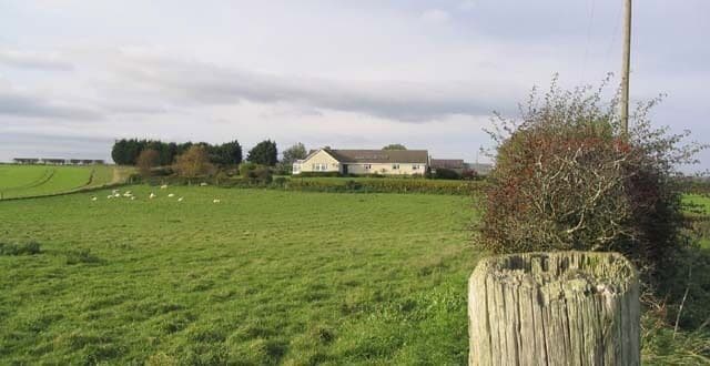Pasture field at Fernyrig Viewed from a minor road near Birgham.